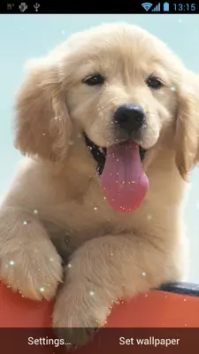 Puppy Live Wallpaper android App screenshot 6